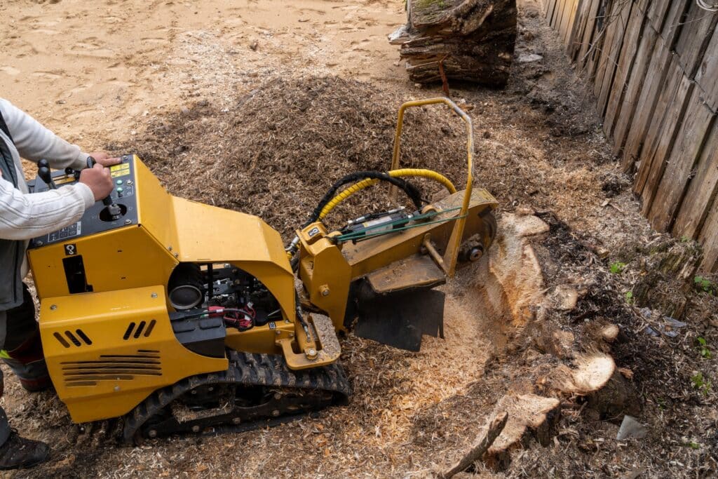 Best Stump Grinding Near Me in Connecticut