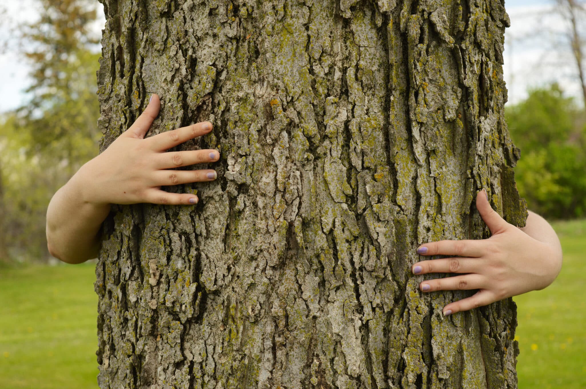 You Don't Have to Be a Tree-Hugger to Be Green