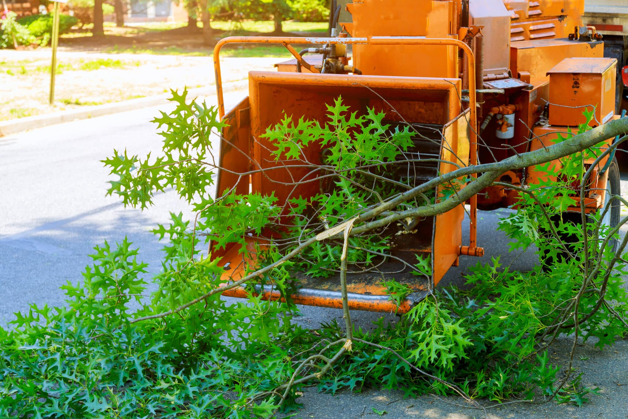 Professional gardeners are putting the branches of a trimmed tree in a wood chipper and pickup truck and maintenance in springtime. Tree Removal.