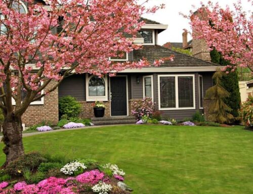Spring Maintenance Tips For Your Lawn