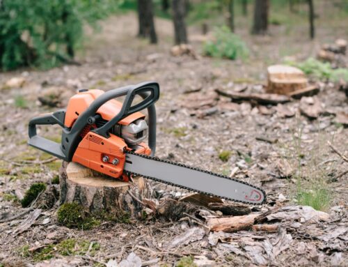 Why You Should Hire A Professional For Stump Grinding Services