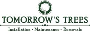 Tomorrow's trees logo
